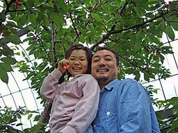 さくらんぼ狩り写真