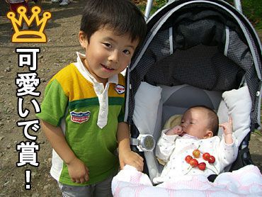 サクランボ狩りご来園の皆様