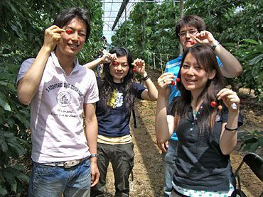 さくらんぼ狩りご来園の皆様