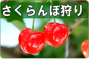 �������ڎ��