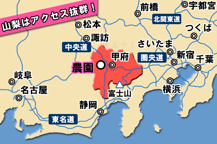 関東各地からヤモト農園までの地図