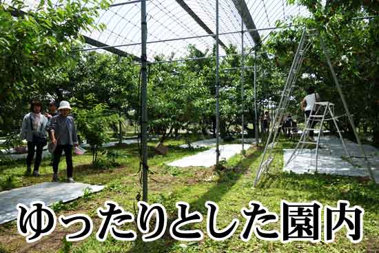 マルトモ園の園内の様子