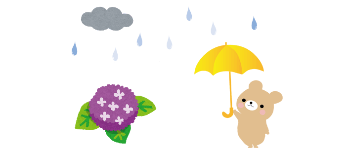 雨天時のさくらんぼ狩り