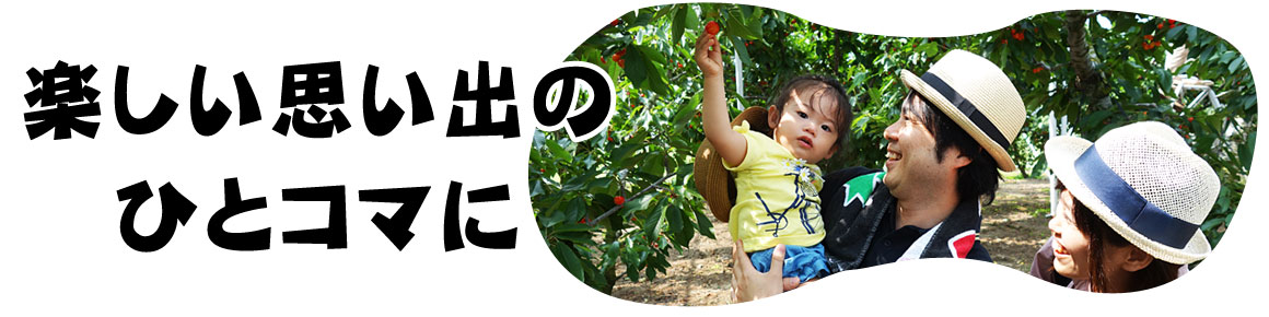 人気 山梨のさくらんぼ狩りオススメ6農園 美味しいさくらんぼ狩り園を厳選 逸品やまなしの果物狩り 人気 山梨のさくらんぼ狩りオススメ6農園 美味しいさくらんぼ狩り園を厳選 逸品やまなしの果物狩り