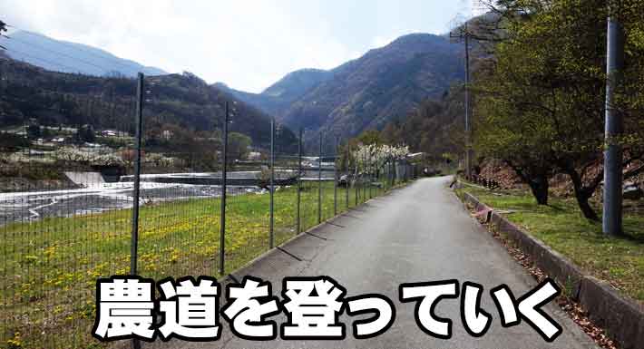 山の果樹園への途中道路状況1