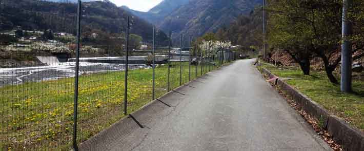 桃狩り園付近の道路について