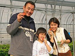 いちご狩りご来園の皆様