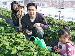 いちご狩りご来園の皆様