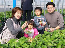 いちご狩りにご来園いただいた皆様