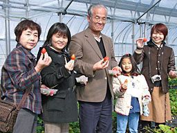 いちご狩りご来園の皆様