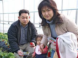 いちご狩りご来園の皆様