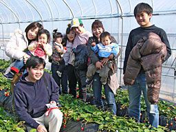 いちご狩りご来園のお客様