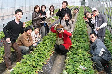 いちご狩りご来園のお客様