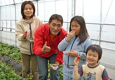 いちご狩りご来園いただいたお客様