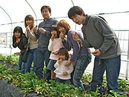 いちご狩りご来園のお客様