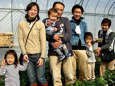 イチゴ狩りご来園の皆様