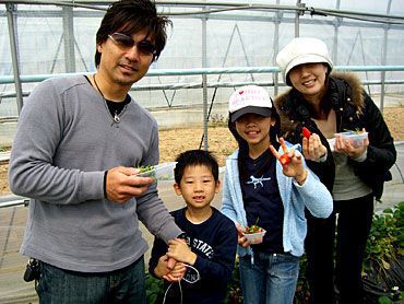 いちご狩りご来園のお客様