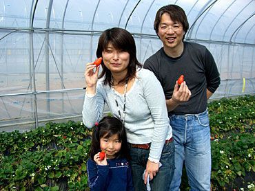 いちご狩りご来園のお客様