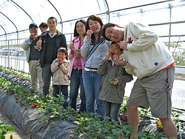 いちご狩りご来園の皆様