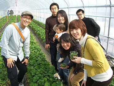 いちご狩りご来園の皆様