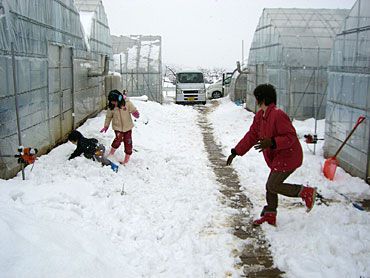 雪合戦