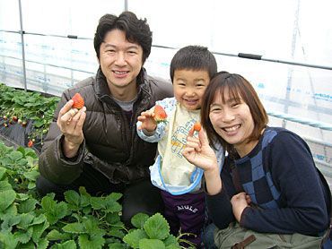 イチゴ狩りご来園のお客様