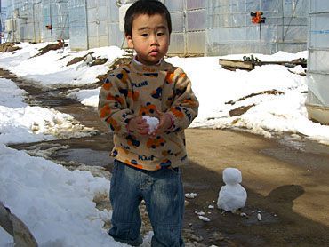 イチゴ狩りご来園のお客様