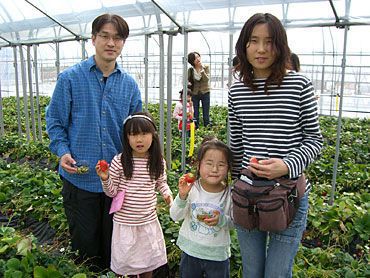 イチゴ狩りご来園の皆様