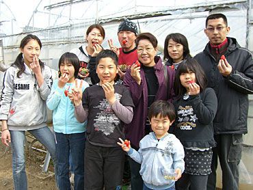 イチゴ狩りご来園の皆様