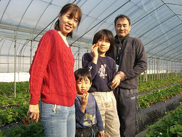 イチゴ狩りご来園のお客様