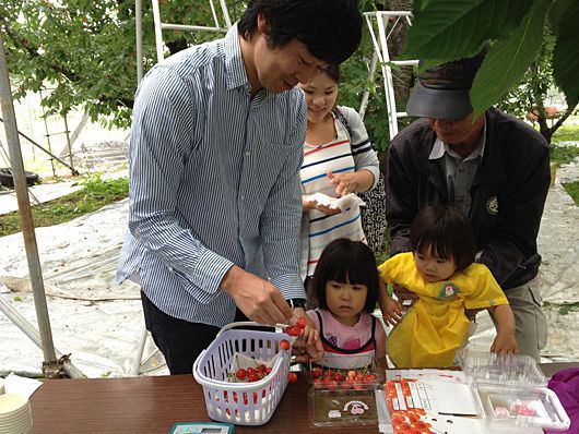 サクランボ狩りご来園のお客様