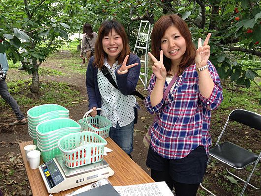 サクランボ狩りご来園のお客様