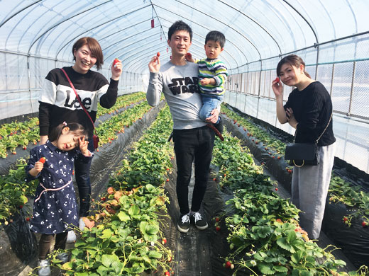 イチゴ狩りご来園のお客様