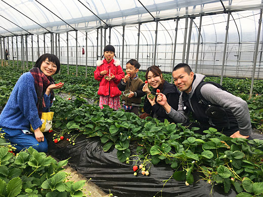 山梨のいちご狩りヤモト農園