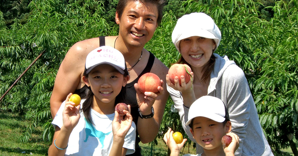 桃狩り 山梨なら山の果樹園 美味しい完熟桃が味わえます 桃狩り 山梨なら山の果樹園 美味しい完熟桃が味わえます