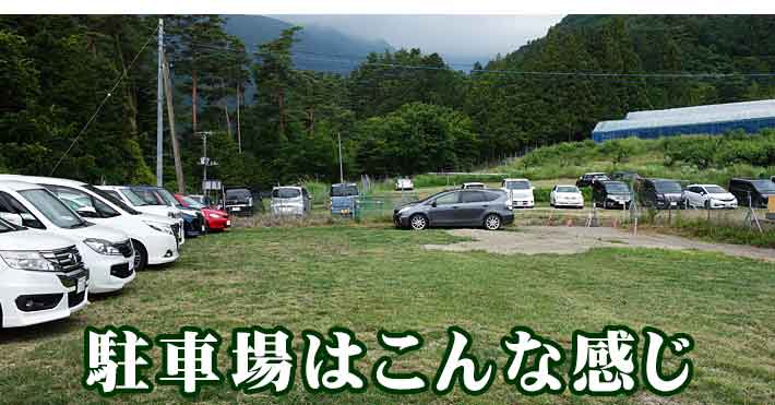 山の果樹園の桃は甘くて美味しい