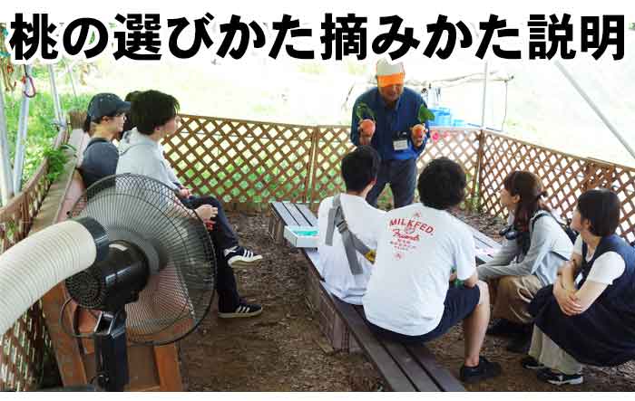 1.入園受け付け入園料のお支払いが済みましたらスタッフが美味しい桃の選び方、桃の摘み方を詳しく説明します