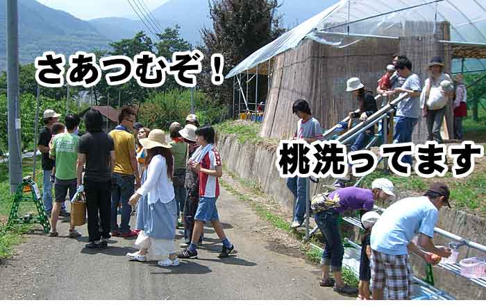 2.桃狩り園へ移動します