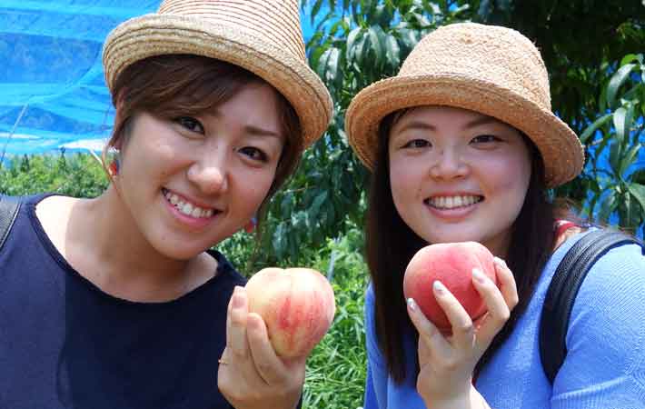 大人気桃狩り園