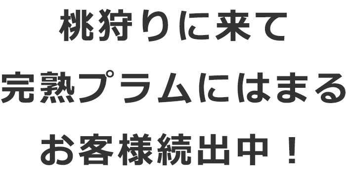 桃狩りの桃