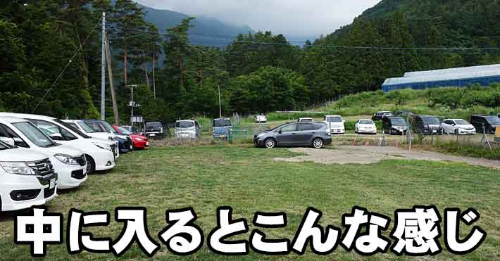 山の果樹園への途中道路状況6