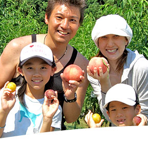 山梨で楽しむ桃狩り人気のオススメ農園