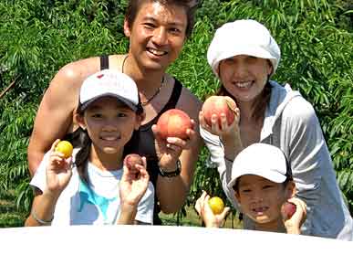 【2023厳選】山梨の桃狩りは人気の山の果樹園がオススメ！