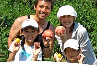 さくらんぼ狩り 桃狩り いちご狩り 美味しい山梨の果物狩り 逸品やまなしの果物狩り