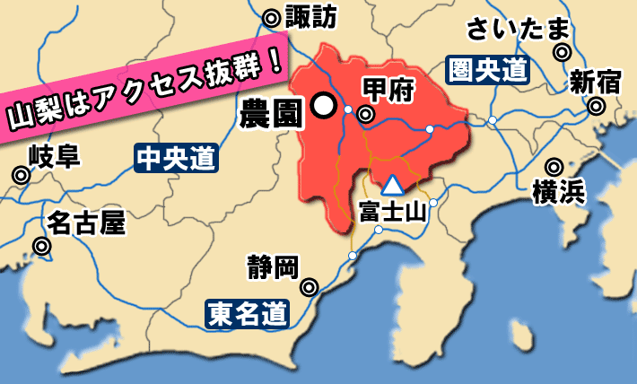 関東各地からヤモト農園までの地図