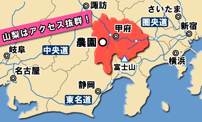 桃狩り園への地図