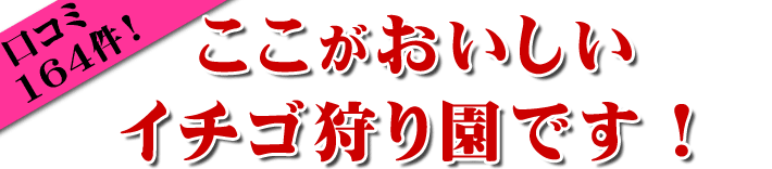イチゴ狩り 関東は山梨のヤモト農園がオススメ