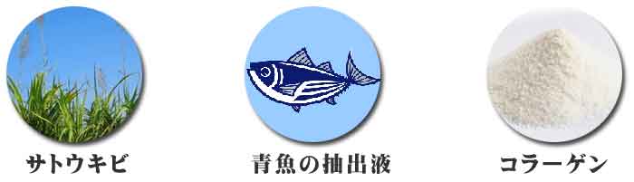 美味しいイチゴを育てる方法