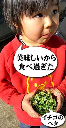 子供も大好きヤモト農園のイチゴ狩り