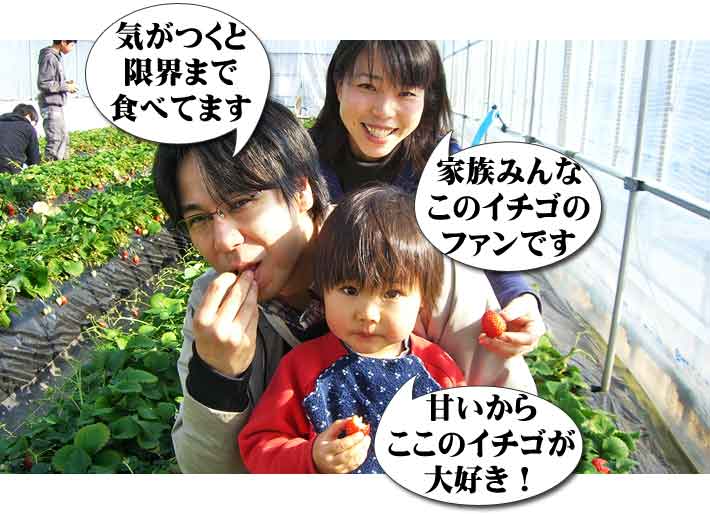 小さなお子様も大好きなイチゴ狩り